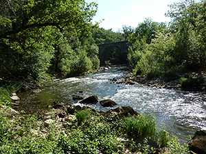 Au bord de l'Aveyron après Mergieux