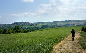 Vitrail de Conques